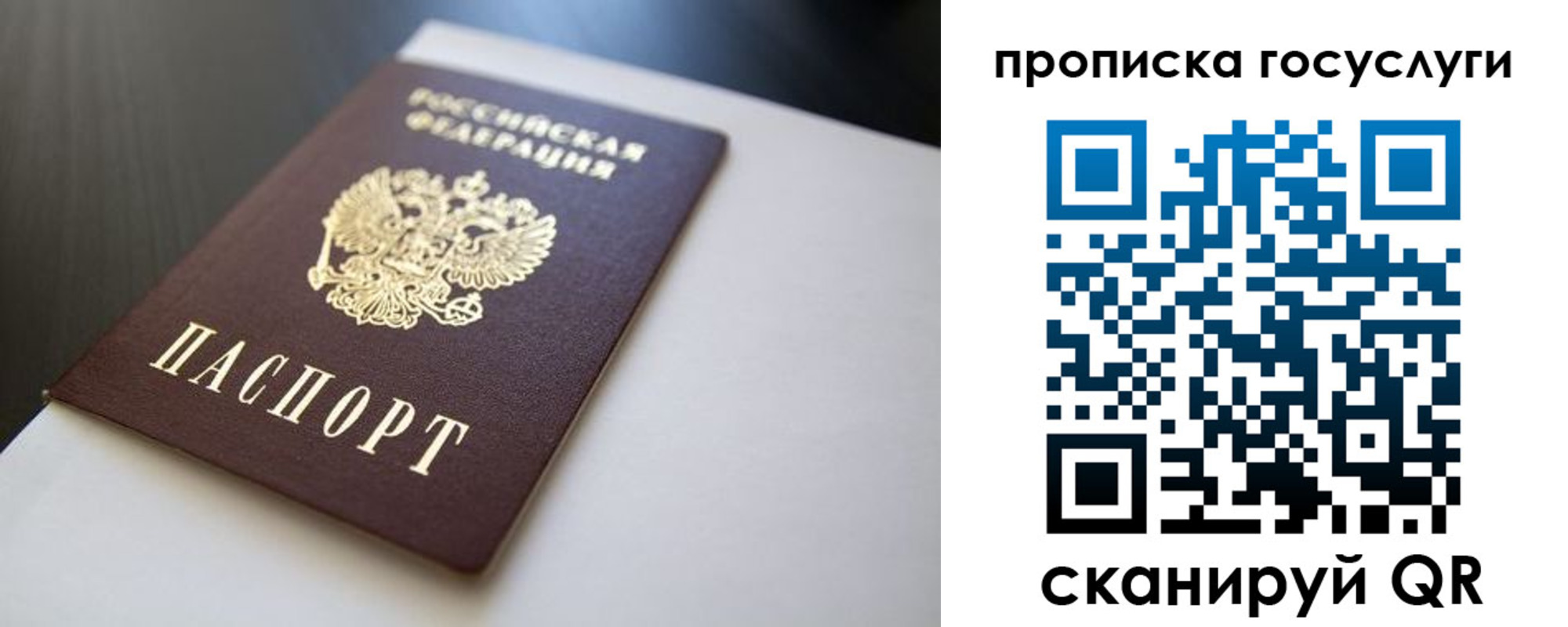временная регистрация госуслуги в Фрязино